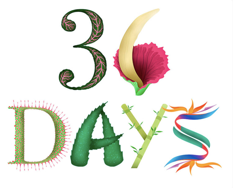 36 Days of Plants illustration by Cayetana Mate