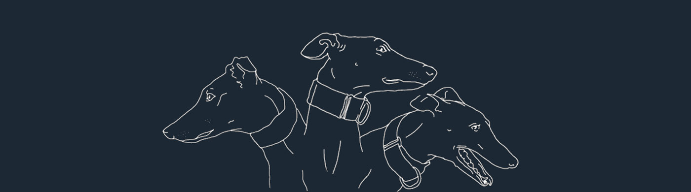 illustration, greyhound, galgo, free-the-galgo, pets-not-bets, cayetana-mate