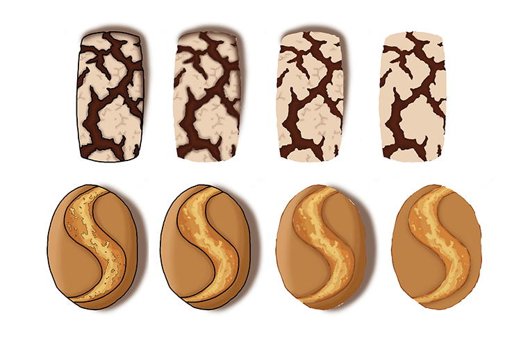 la subirana, murcia, bakery, panaderia, pan, ilustration, cayetana-mate