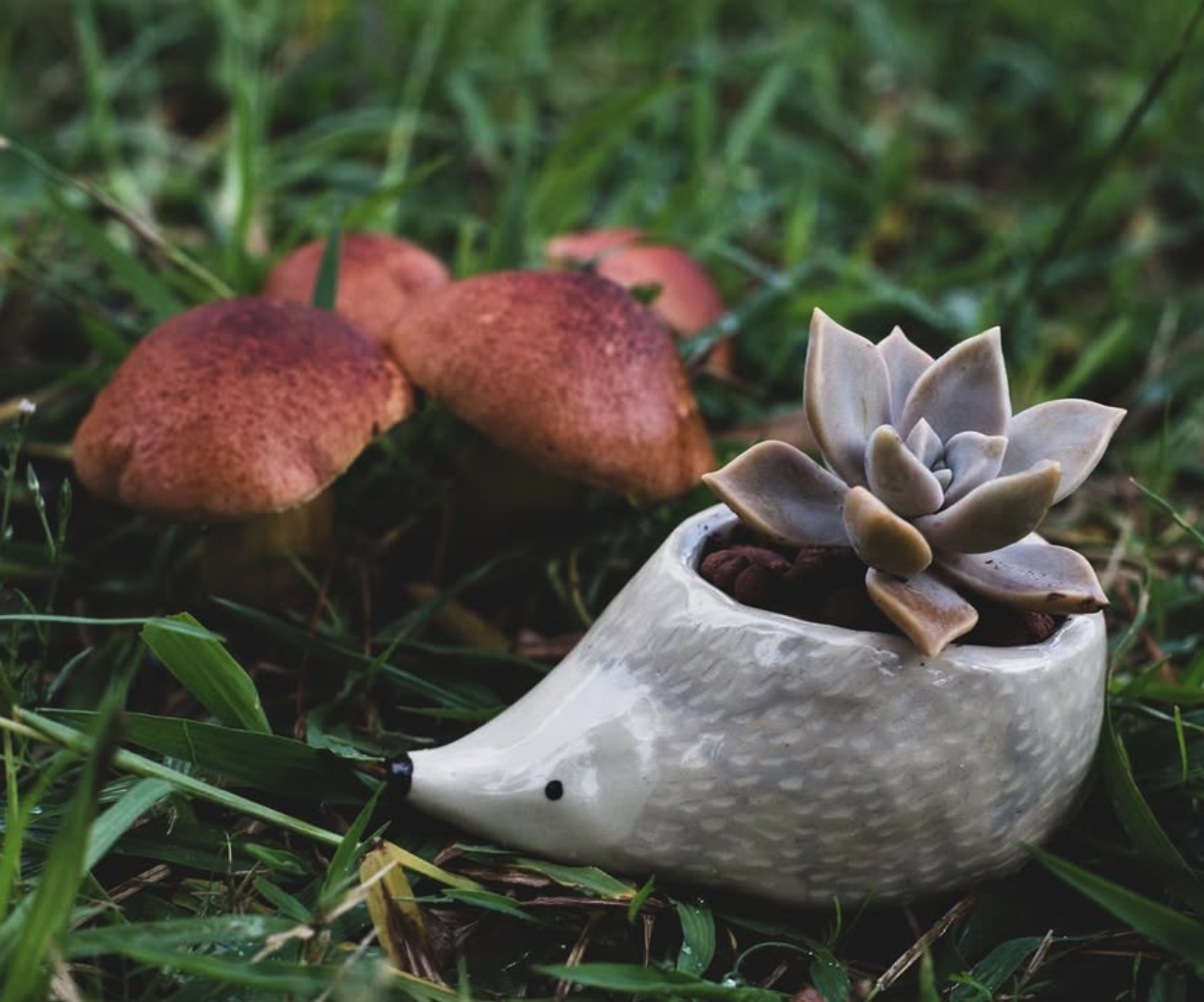 turism,  pedraza, cine, segovia, branding, tote bag ,cayetana-mate